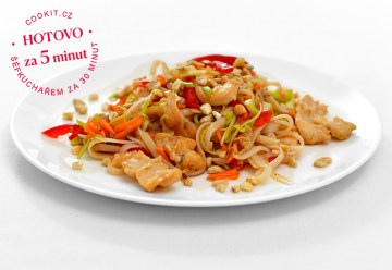 Nudle_pad_thai_kureci_nudlicky_G00533_produkt_EXPRESS_WEB_2025_01